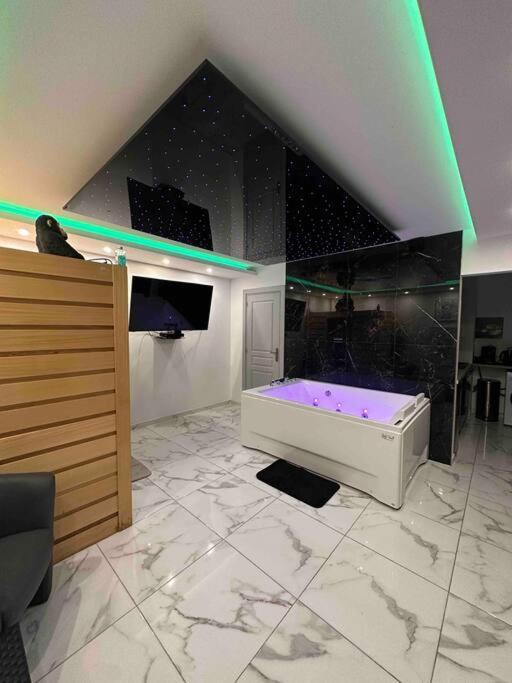 Cozy Rental Spa Schiltigheim Dış mekan fotoğraf