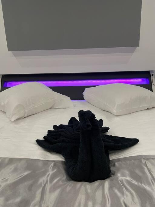 Cozy Rental Spa Schiltigheim Dış mekan fotoğraf